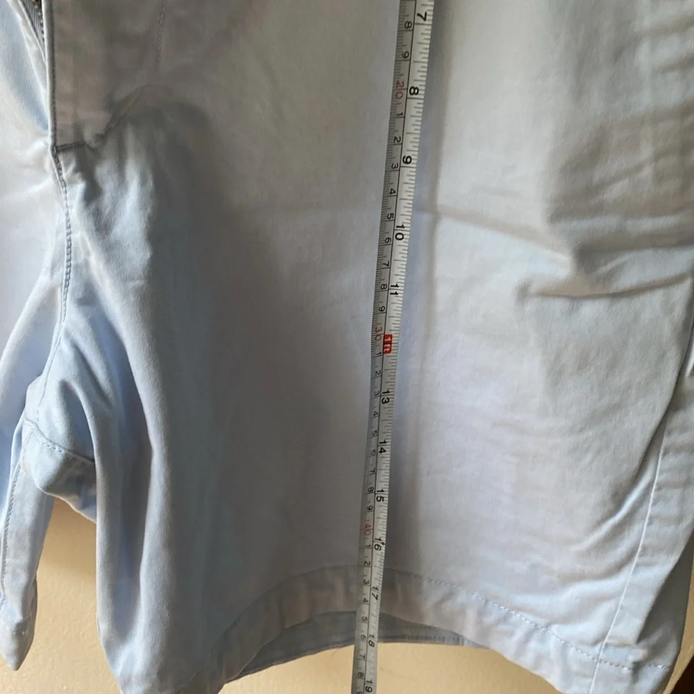 Abercrombie and Fitch Shorts - Picture 5 of 5